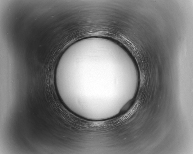 X0000098231353200804241153