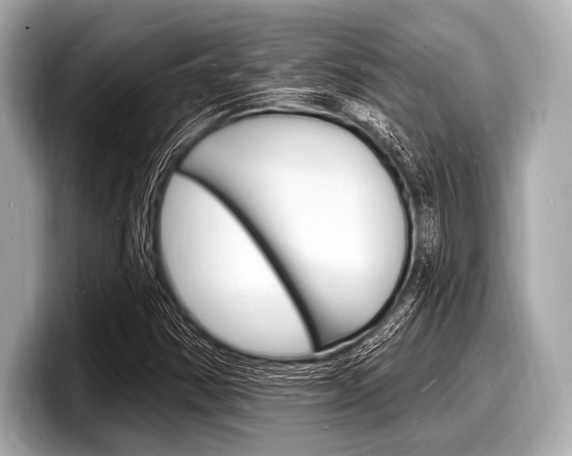 X0000098231354200804241153