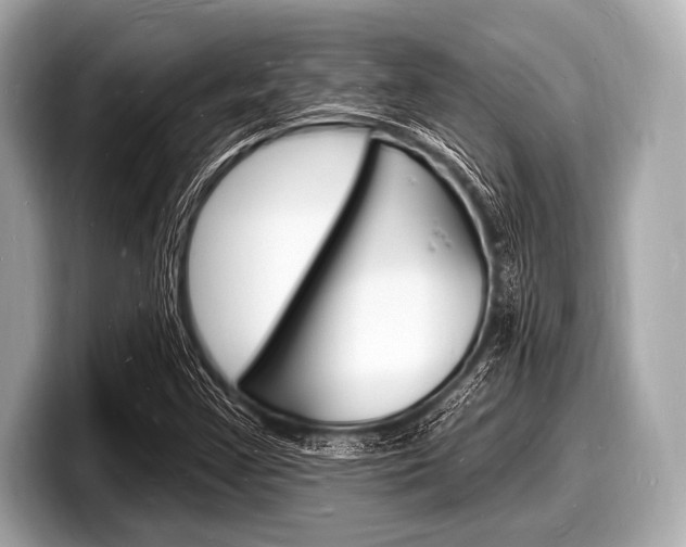X0000098231355200804241153