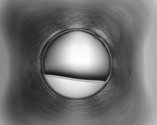 X0000098231356200804241153