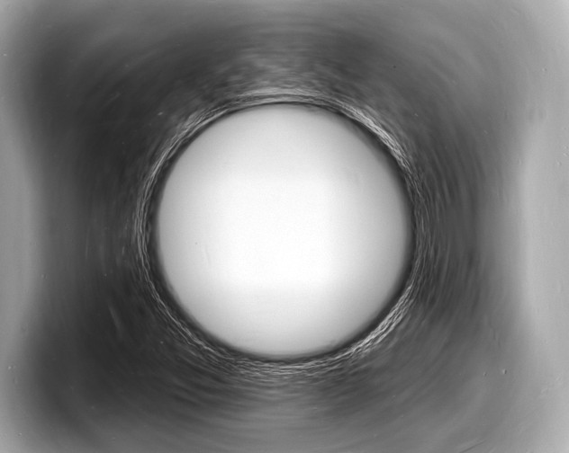 X0000098231357200804241153