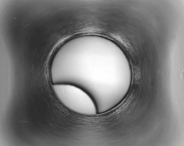 X0000098231358200804241153