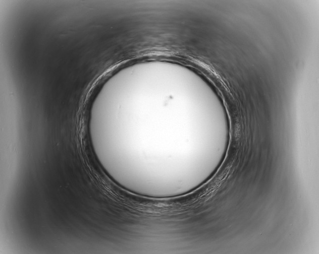 X0000098231359200804241153