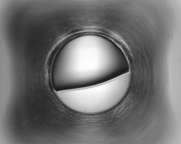 X0000098231360200804241153