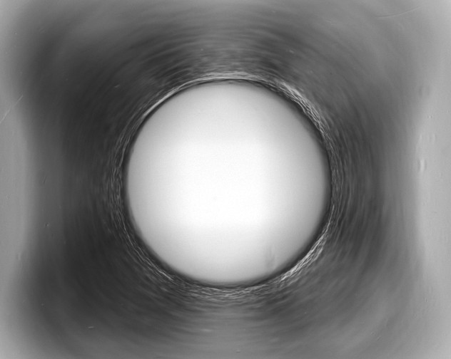X0000098231361200804241153