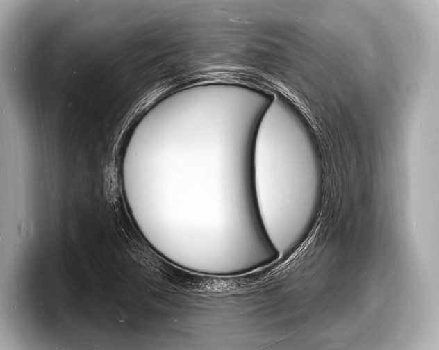 X0000098231362200804241153
