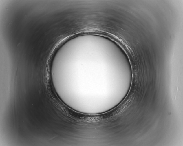 X0000098231363200804241153