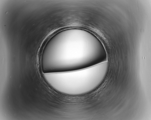 X0000098231364200804241152