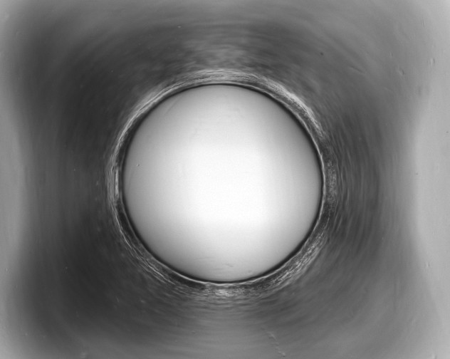 X0000098231365200804241152