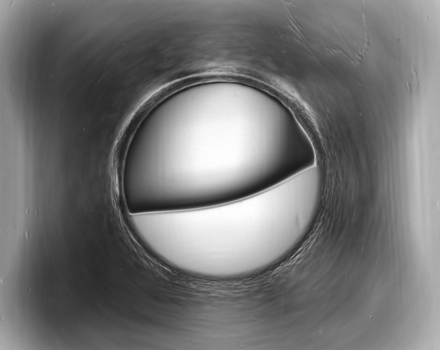 X0000098231368200804241152