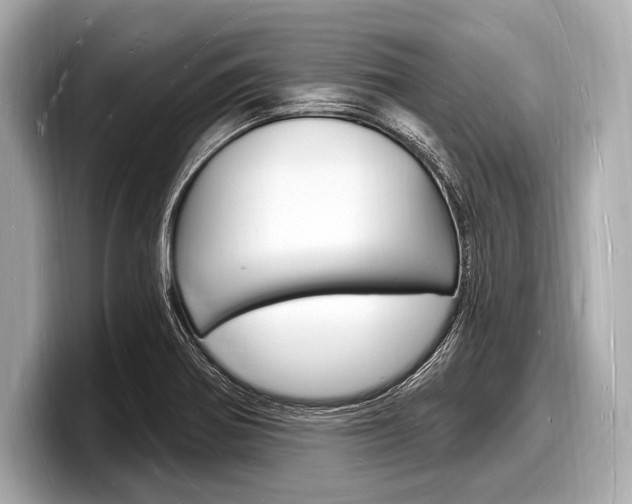 X0000098231370200804241152