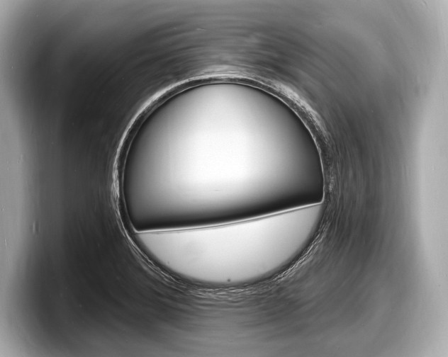X0000098231372200804241152