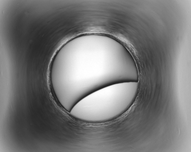 X0000098231374200804241152