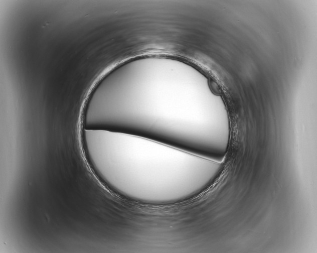 X0000098231375200804241152