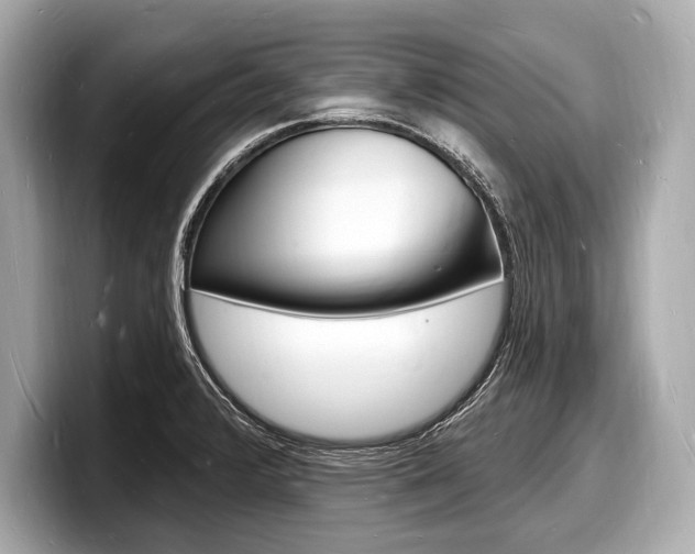 X0000098231376200804241152