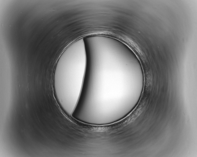 X0000098231377200804241152