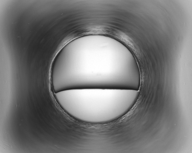 X0000098231378200804241152