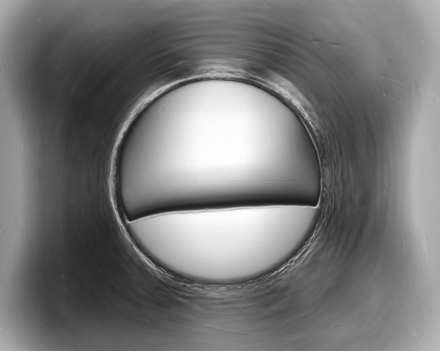 X0000098231379200804241152
