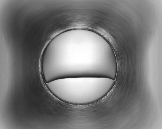 X0000098231382200804241152
