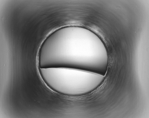 X0000098231383200804241152