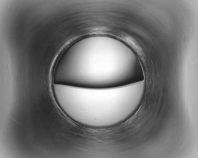 X0000098231384200804241152