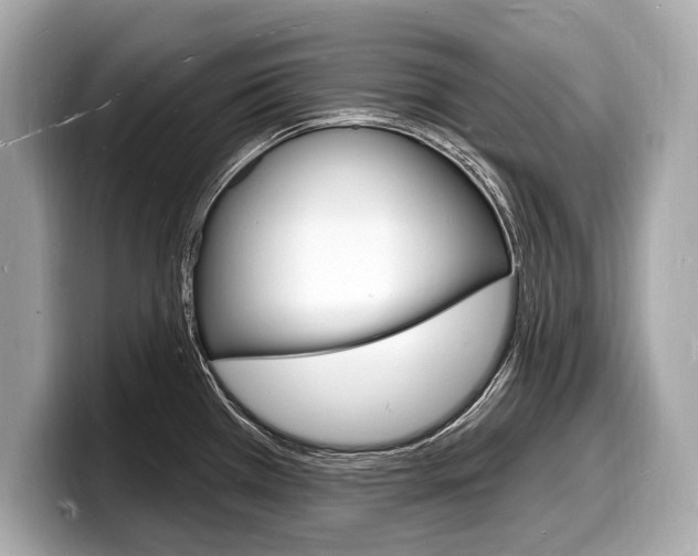 X0000098231385200804241152