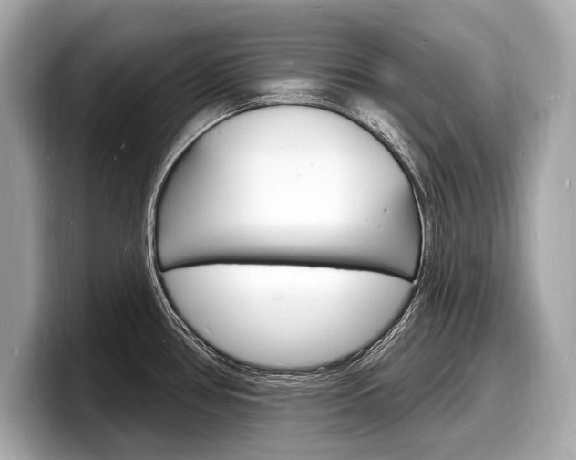 X0000098231386200804241152