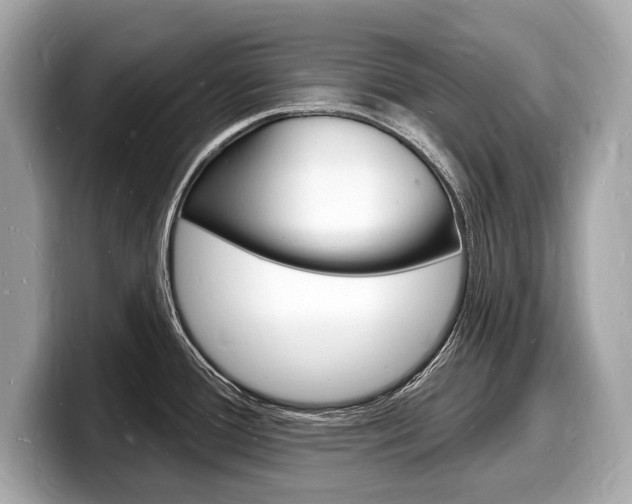 X0000098231388200804241152