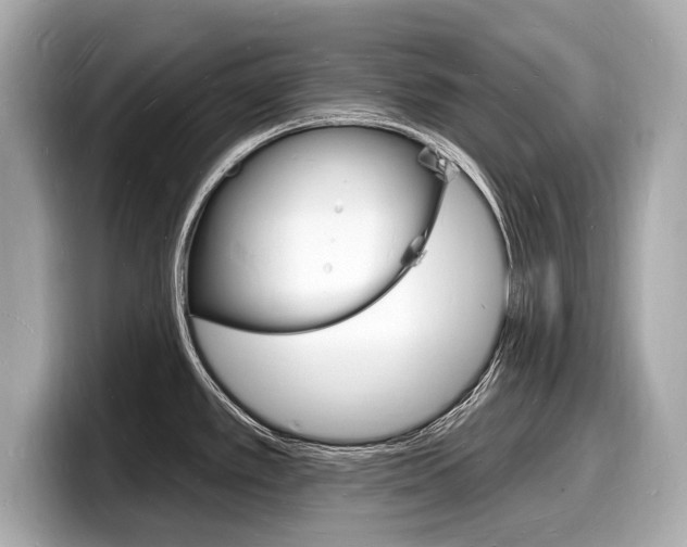 X0000098231389200804241152