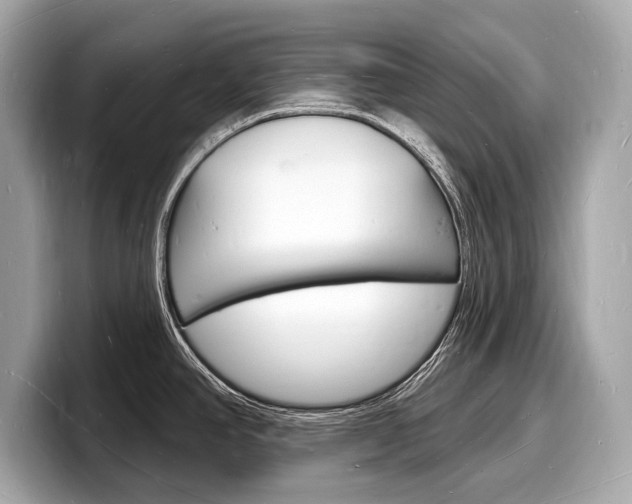 X0000098231390200804241152