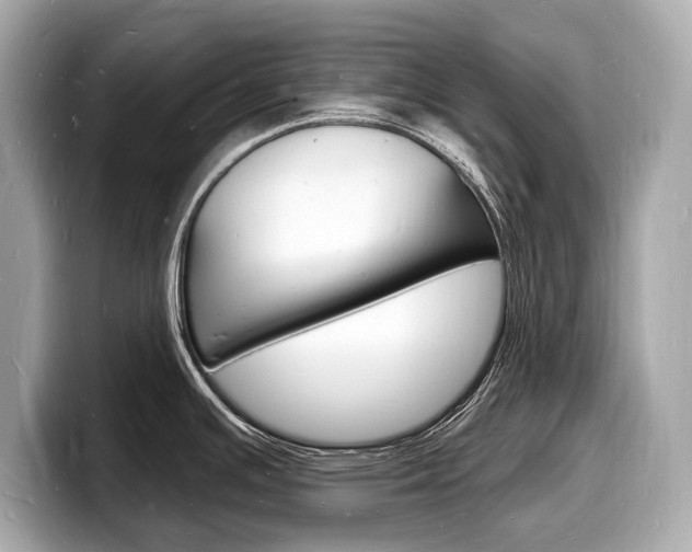 X0000098231391200804241152