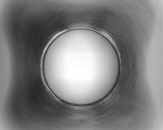 X0000098231392200804241152