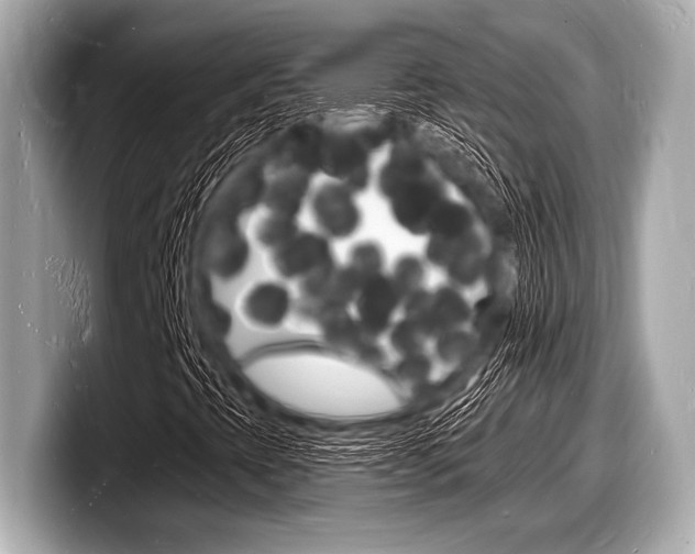 X0000098231393200804241151