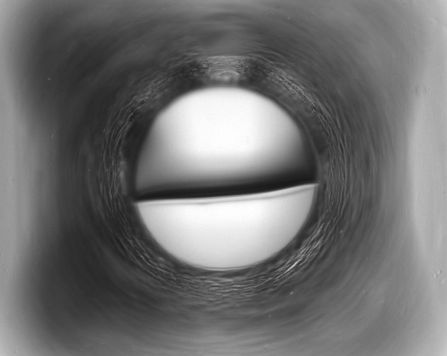 X0000098231394200804241151