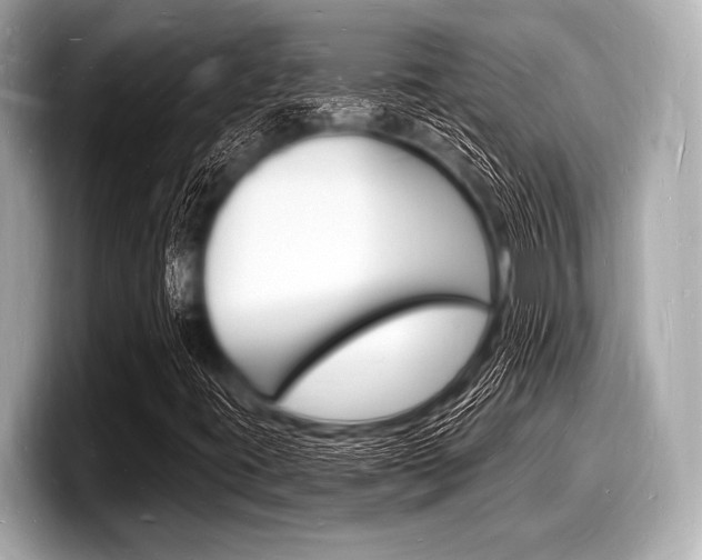 X0000098231395200804241152