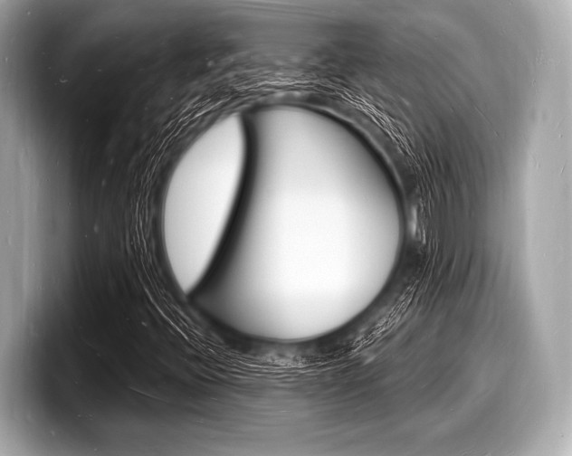 X0000098231396200804241152