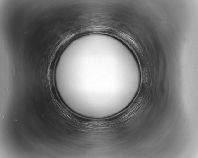 X0000098231404200804241152