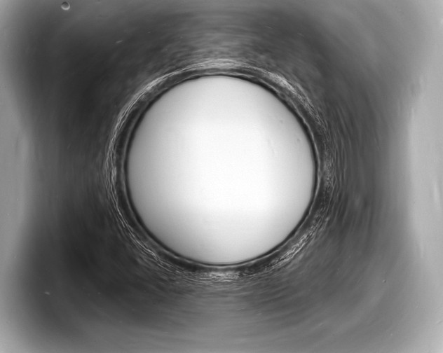 X0000098231406200804241152