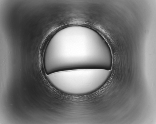 X0000098231408200804241152