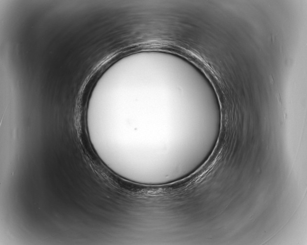X0000098231410200804241152