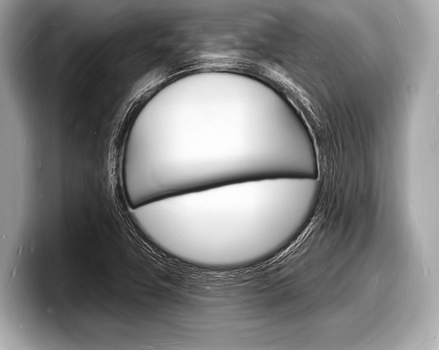 X0000098231411200804241152