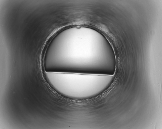 X0000098231412200804241152