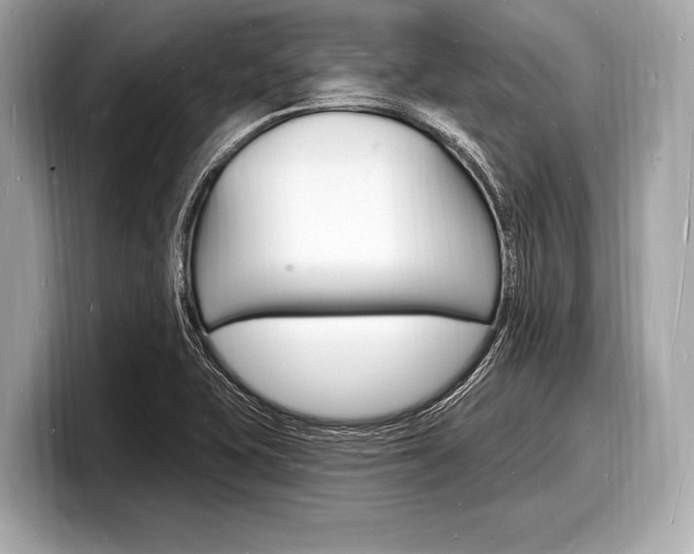 X0000098231415200804241152