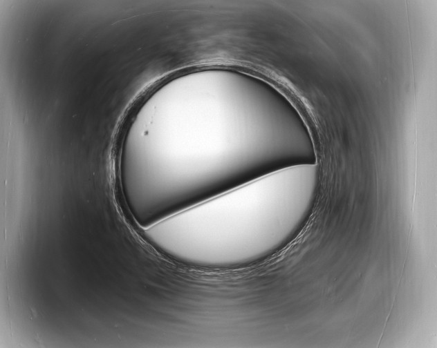 X0000098231416200804241152