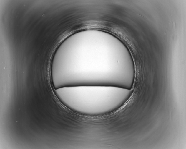 X0000098231417200804241152