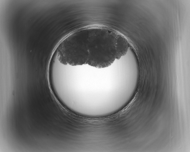 X0000098231418200804241152