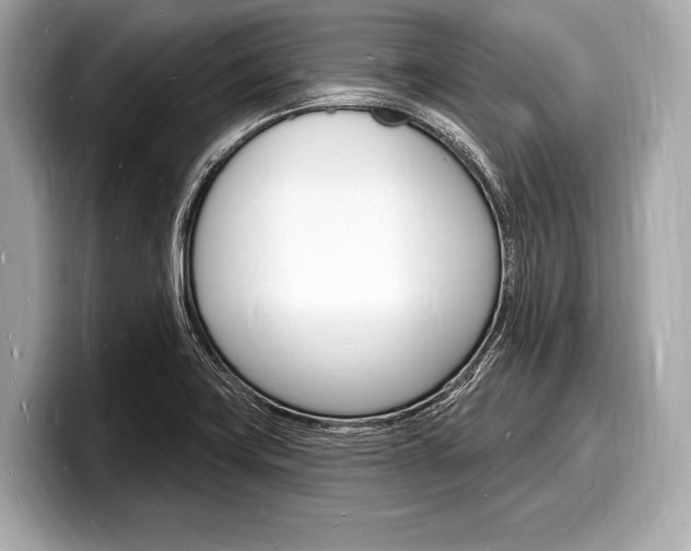 X0000098231419200804241152