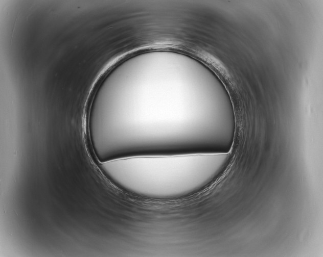 X0000098231420200804241152