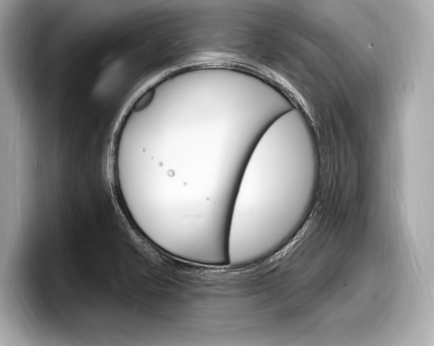 X0000098231421200804241152