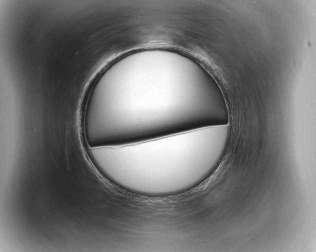 X0000098231422200804241152